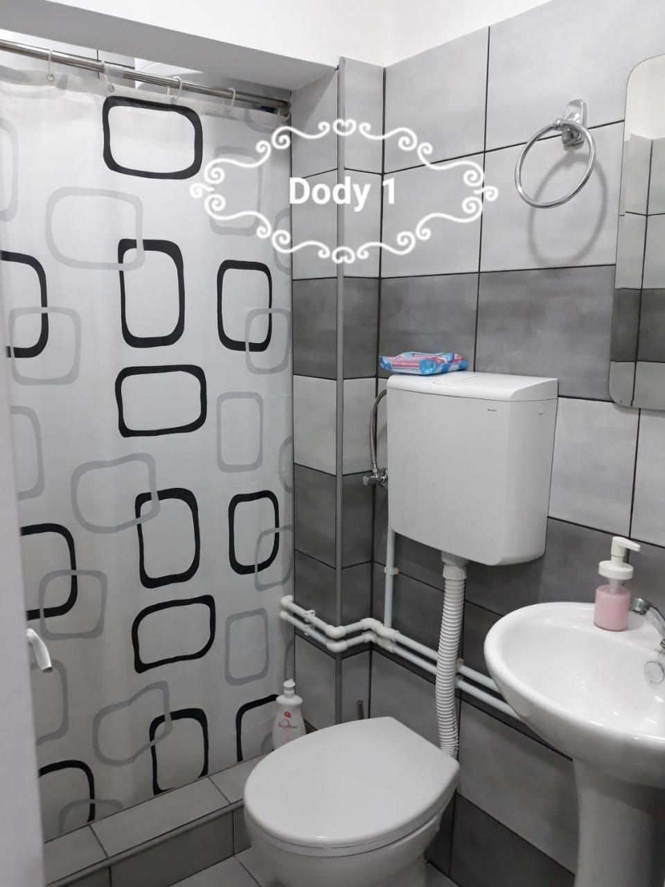 Dody Apartmani Leskovac  Buitenkant foto