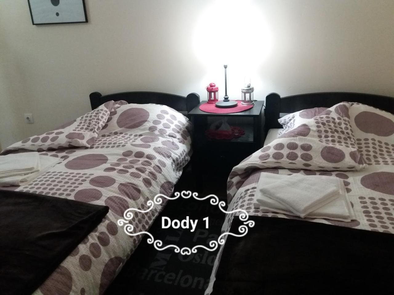 Dody Apartmani Leskovac  Buitenkant foto